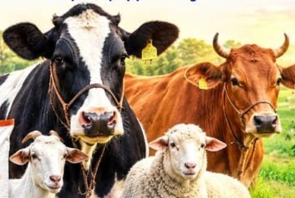 பசுமையான புல்வெளியில் மாடுகள், ஆடு மற்றும் செம்மறி